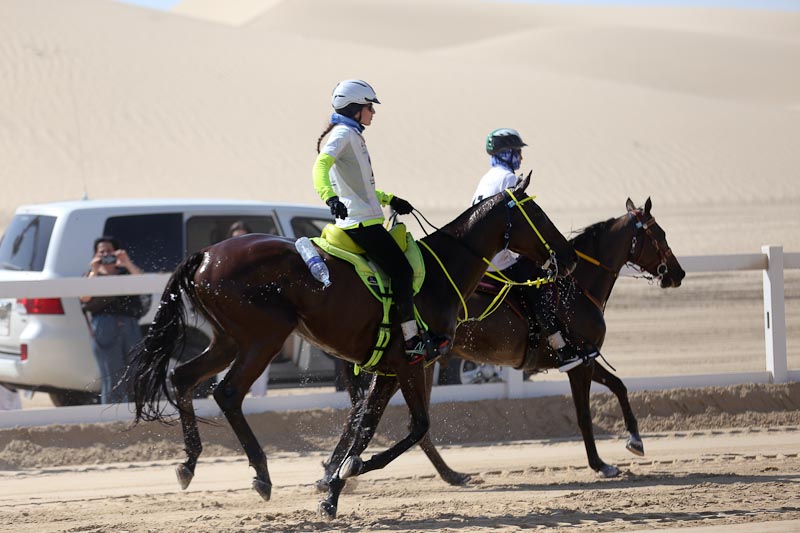 AlWathba Challenge