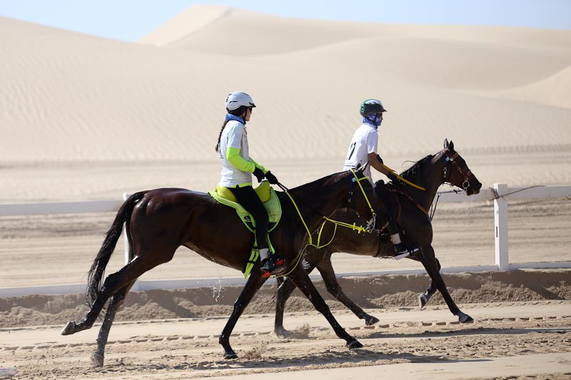 AlWathba Challenge