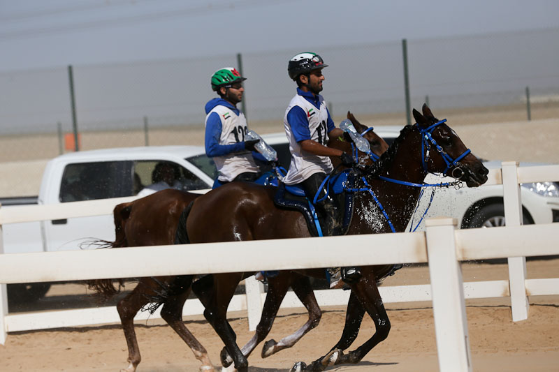 AlWathba Challenge
