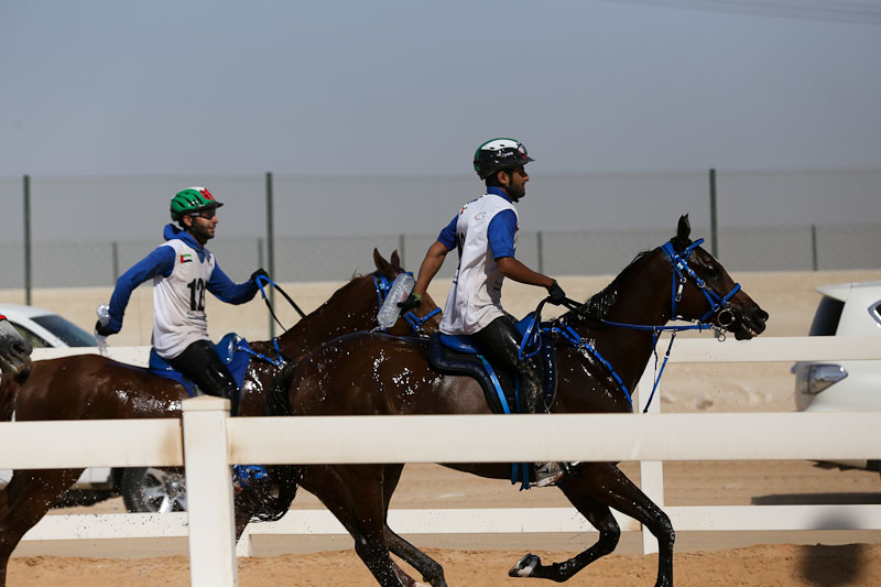 AlWathba Challenge