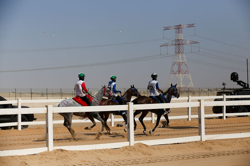 AlWathba Challenge