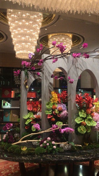 Huawei China Trip Levant
