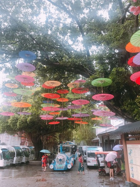 Huawei China Trip Levant