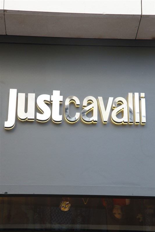 Grand Opening of Just Cavalli