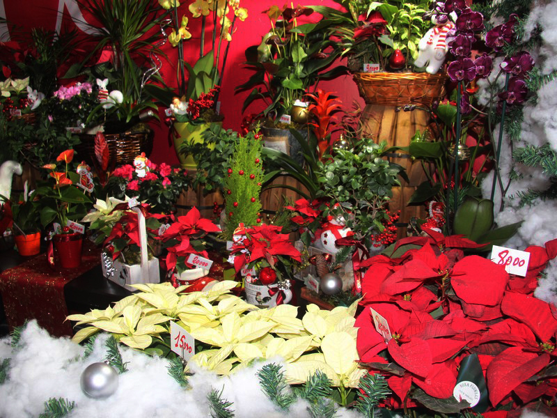 A Taste Of Christmas:Zouk Mikael