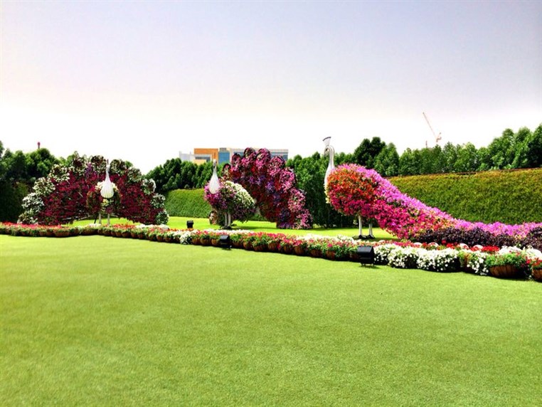 Dubai Miracle Garden 
