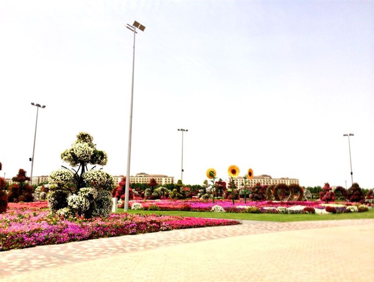 Dubai Miracle Garden 