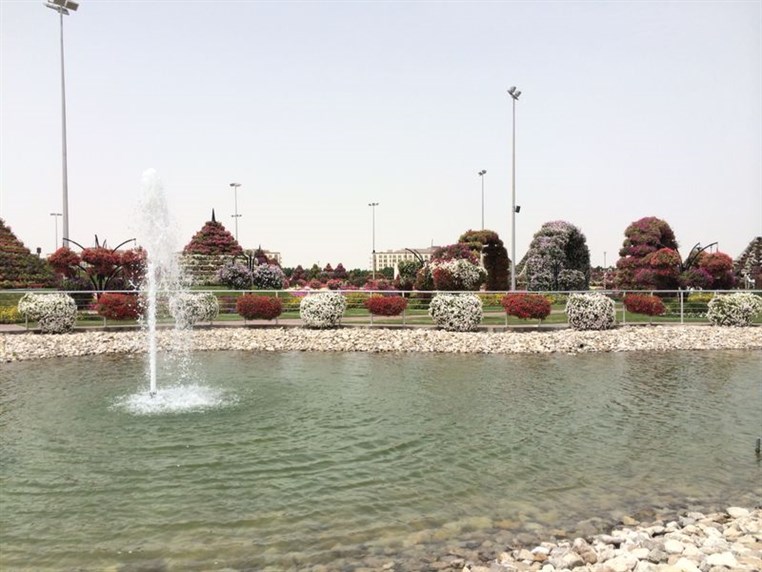Dubai Miracle Garden 
