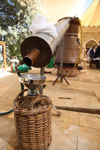 Lycee Montaigne Brunch at La Citadelle de Beit Chabeb 