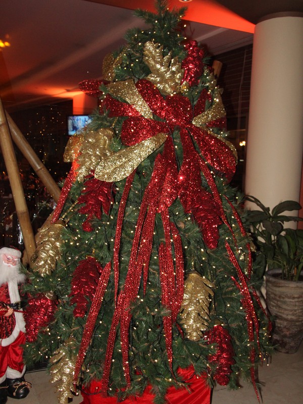 Alecco's NYE at Le Jardin du Royal