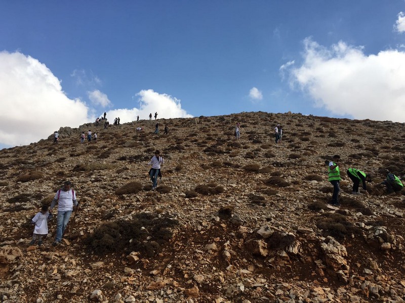 Plantation Day with Azadea Foundation