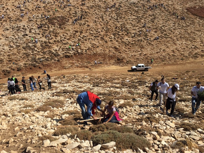 Plantation Day with Azadea Foundation