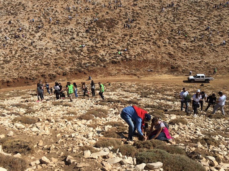 Plantation Day with Azadea Foundation