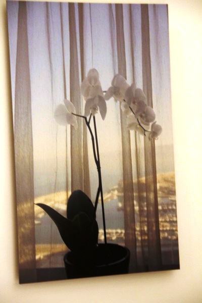 Phoenicia Hotel Art Photo Exhibition