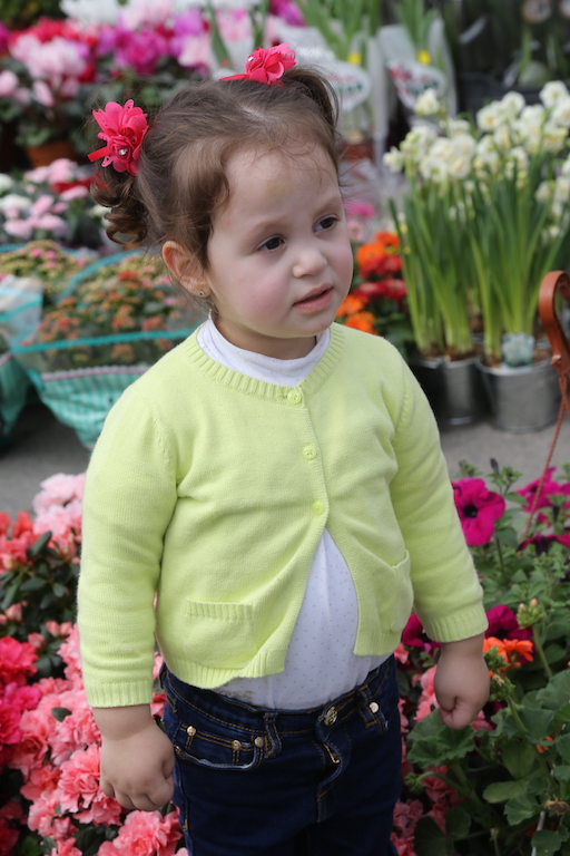 Byblos Flowers Festival 2017