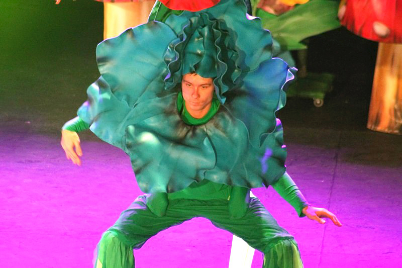 Alice in Wonderland-The Circus Musical