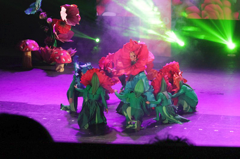 Alice in Wonderland-The Circus Musical