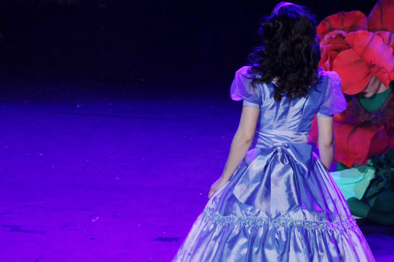 Alice in Wonderland-The Circus Musical