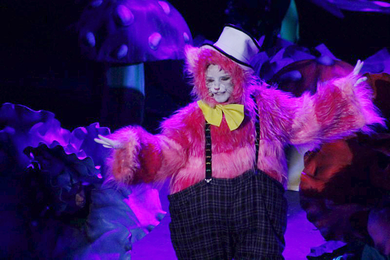Alice in Wonderland-The Circus Musical