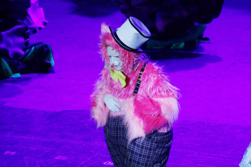 Alice in Wonderland-The Circus Musical