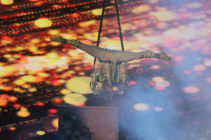 Alice in Wonderland-The Circus Musical