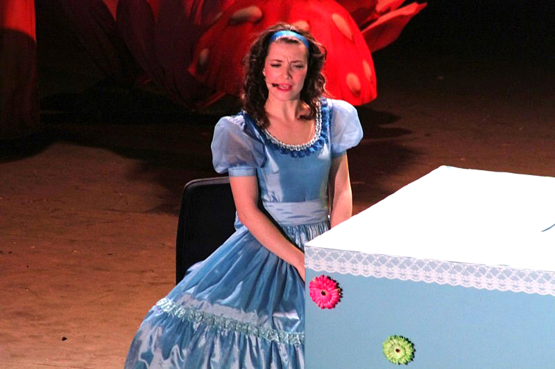 Alice in Wonderland-The Circus Musical