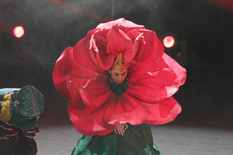 Alice in Wonderland-The Circus Musical