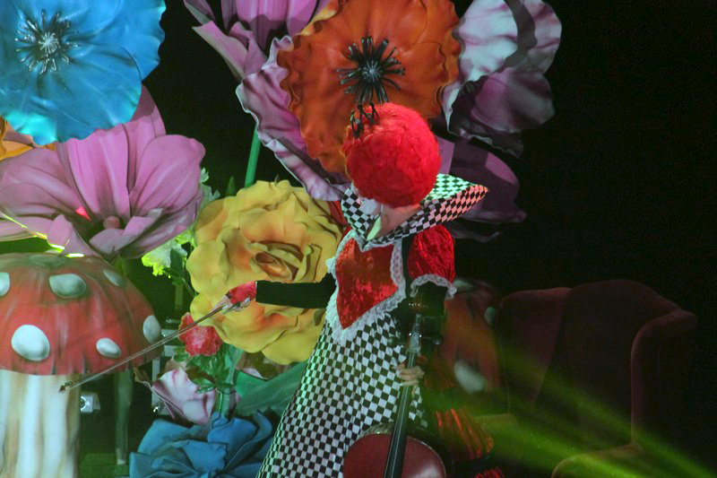 Alice in Wonderland-The Circus Musical