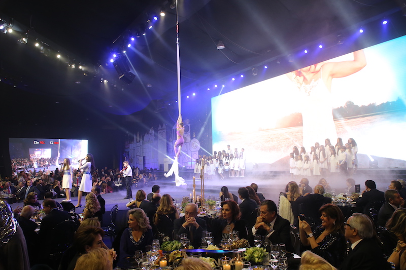 OpenMinds Fundraising Gala Dinner