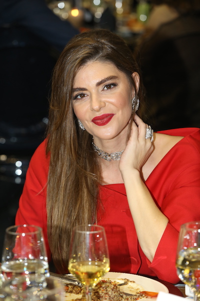 OpenMinds Fundraising Gala Dinner
