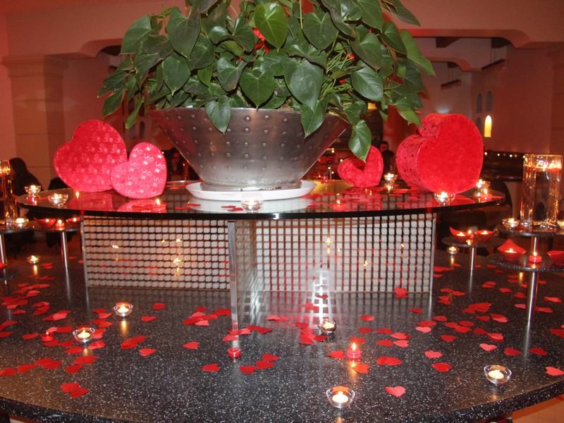 Violin Romance at Le Jardin du Royal