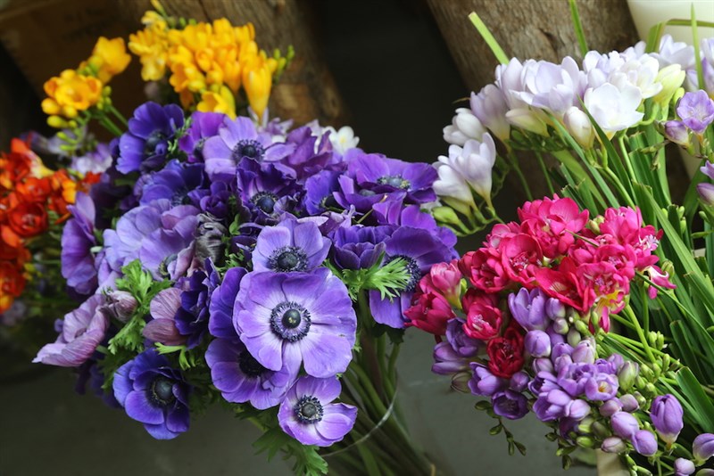 Platform Horizon - The Flowerist