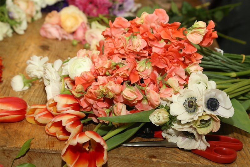Platform Horizon - The Flowerist