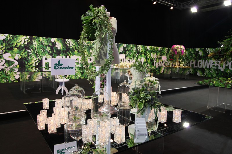 Opening of Wedding Folies - The Bridal Expo