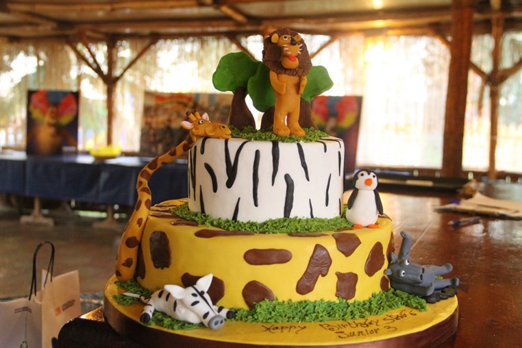 Birthday Celebration 