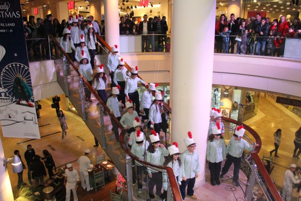 Flash Mob Dance Show