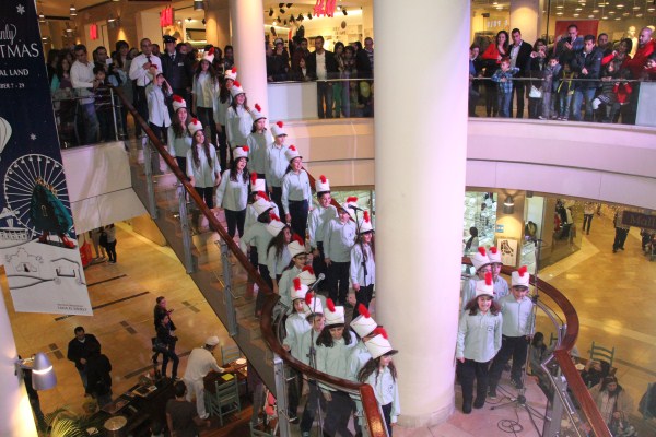Flash Mob Dance Show