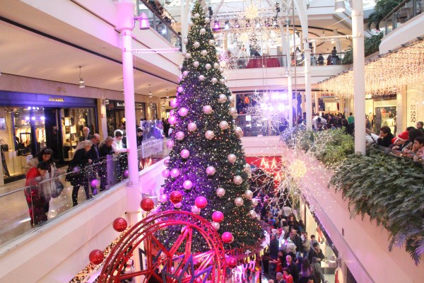 Flash Mob Dance Show