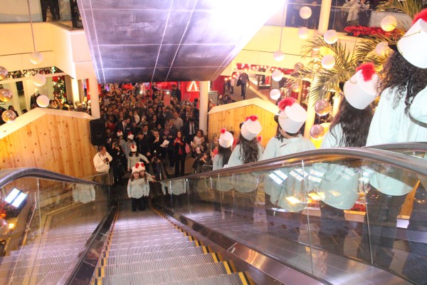 Flash Mob Dance Show