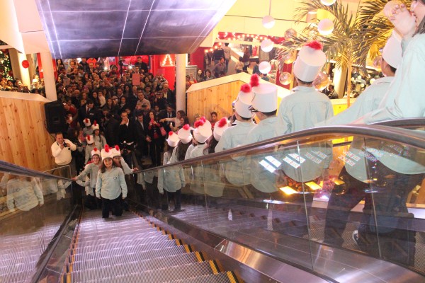 Flash Mob Dance Show