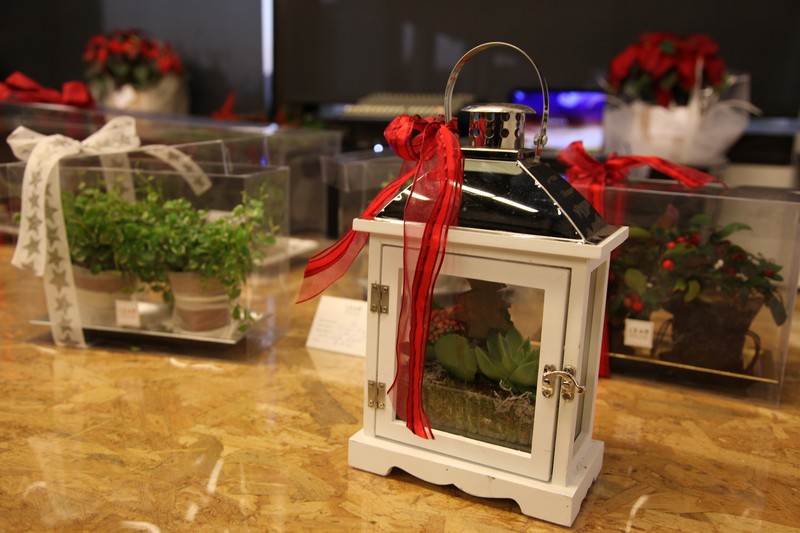 L'Eau de Rose Christmas Collection Launch