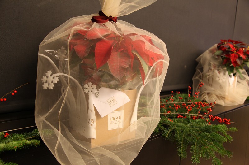 L'Eau de Rose Christmas Collection Launch