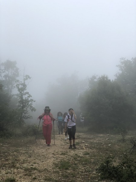 Hike to Prevent Diabetes