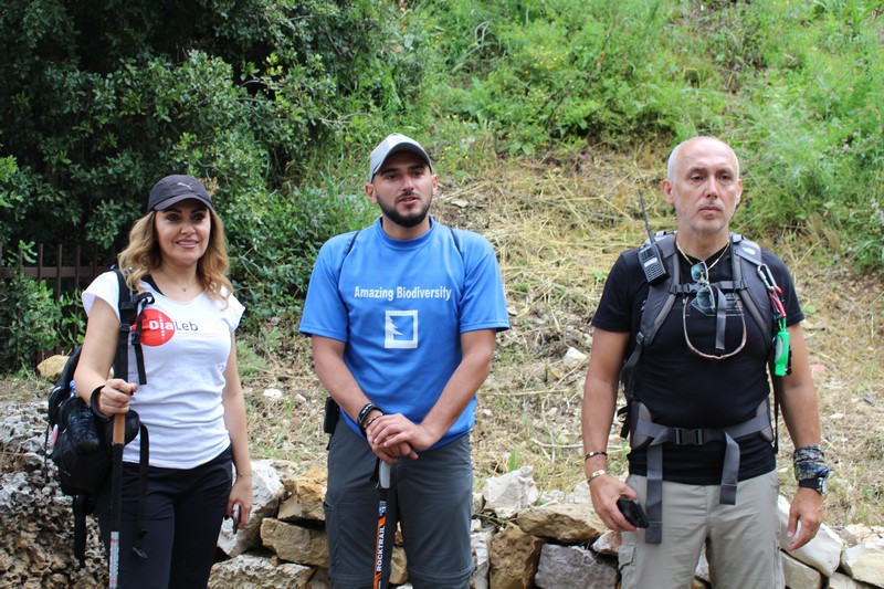 Hike to Prevent Diabetes
