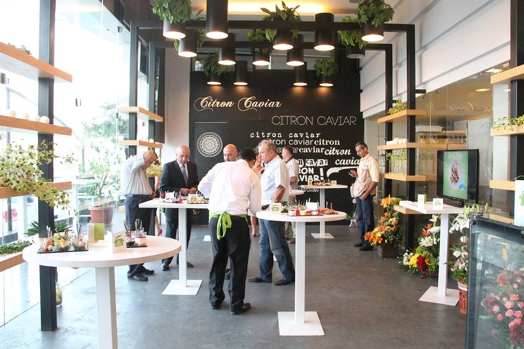 Launching Diet & More by Citron Caviar