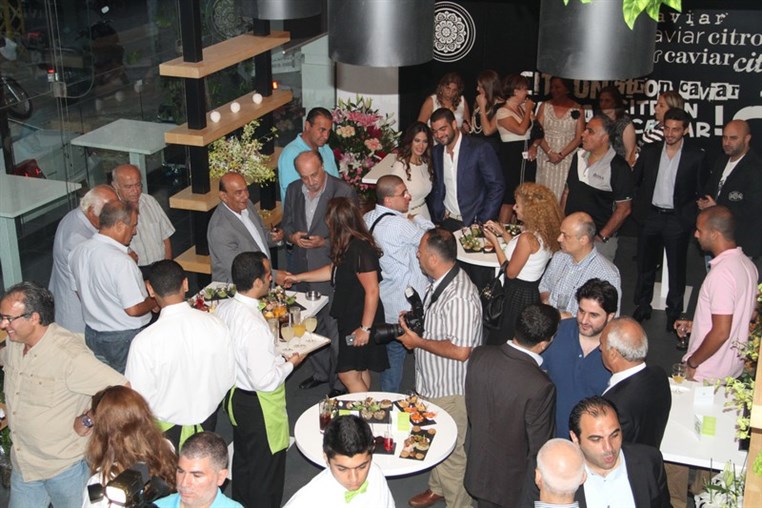 Launching Diet & More by Citron Caviar