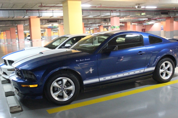 Mustang Tornado Need for Speed Avant Premiere 