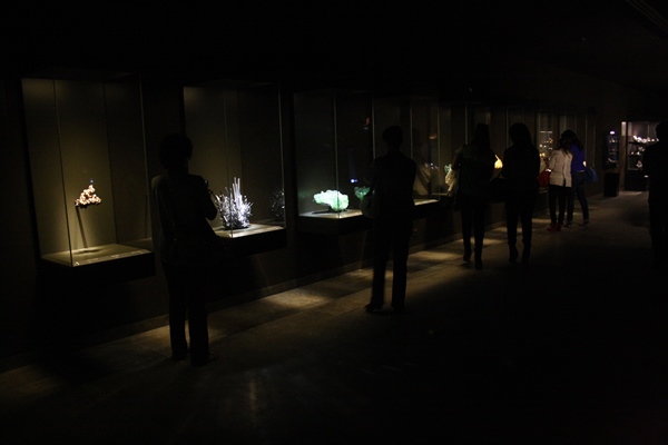 Platform Horizon Club