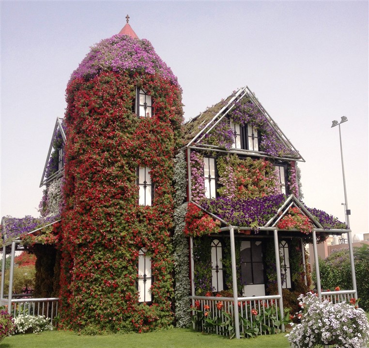 Dubai Miracle Garden 