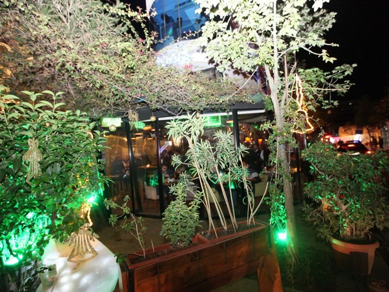 Tonic on Saturday Night